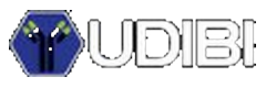 UDIBI